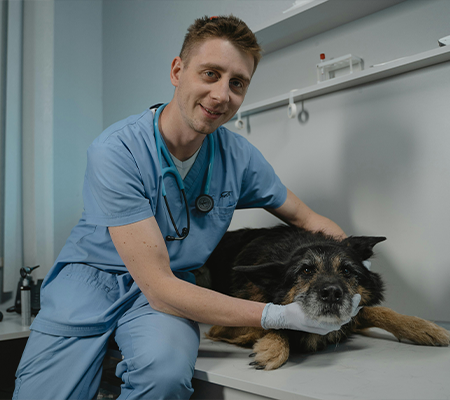 TeleVet Care